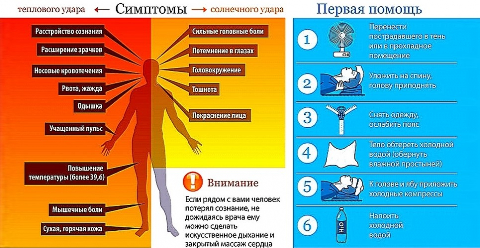 Как помочь ребенку при тепловом ударе – Москва 24, 